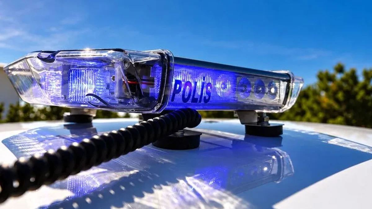 Giresun'un da dahil olduğu yasa dışı "üreme hücresi" ticareti soruşturmasında 5 zanlı daha yakalandı