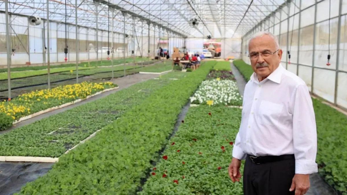 Ordu’da 550 bin çiçek üretildi! Hedef çiçek kenti olmak