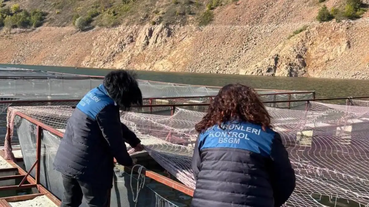 Ordu’da Türk somonu üretimine sıkı denetim! Tesisler tek tek incelendi