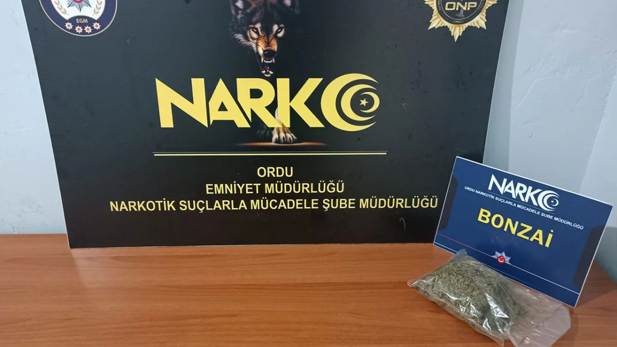Ordu’da uyuşturucu operasyonu! 1 şüpheli tutuklandı