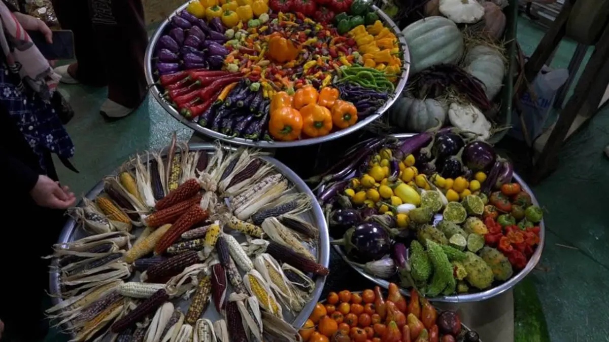Rize'de GastroRize Gastronomi Festivali başladı! Ata tohumlarına yoğun ilgi