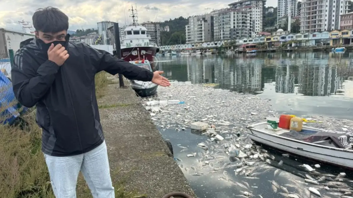 Rize’de palamut bereketi kirliliğe dönüştü! Sahili ağır koku sardı