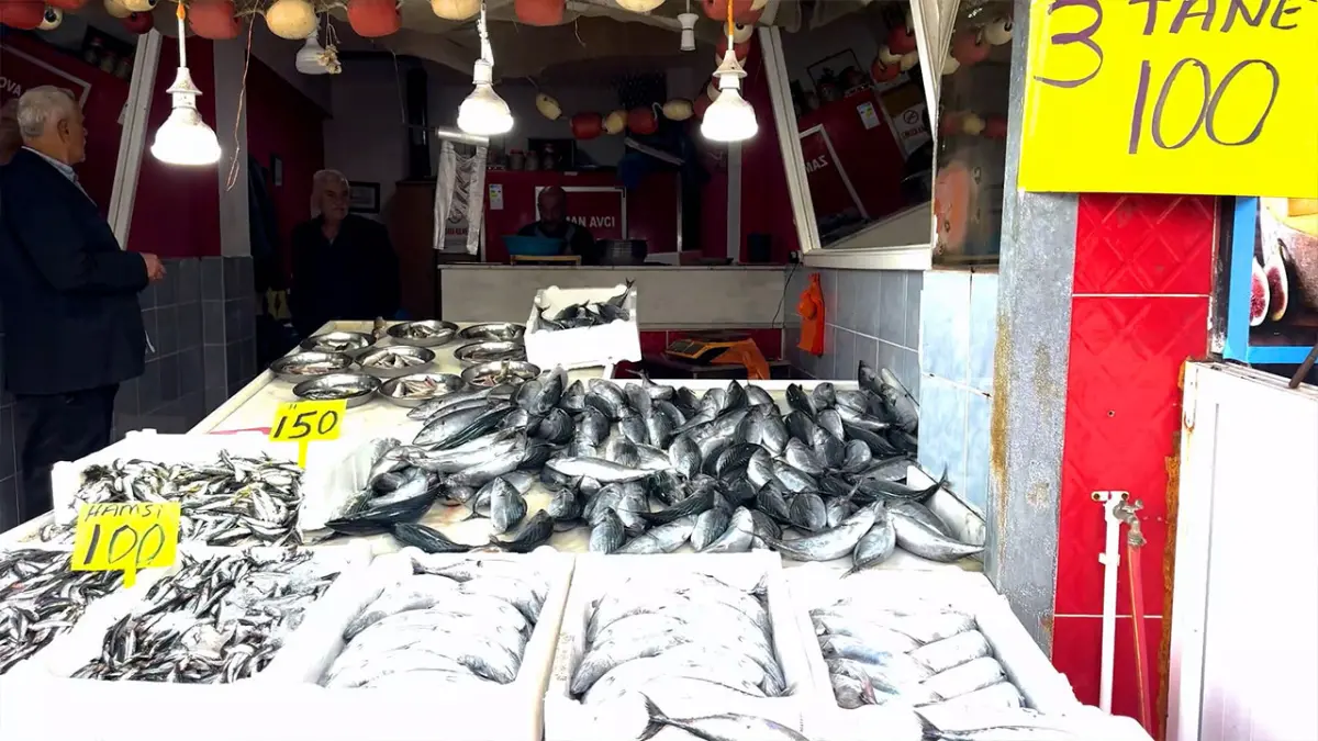 Rize’de palamut bolluğu! İri boy palamudun 3 tanesi 100 TL