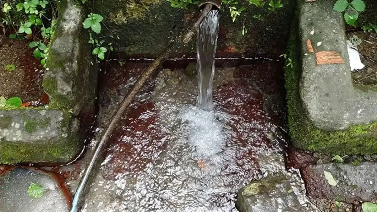 Sağlık uyarısıyla gündeme gelmişti! Araklı Şifalısu için çağrı yapıldı