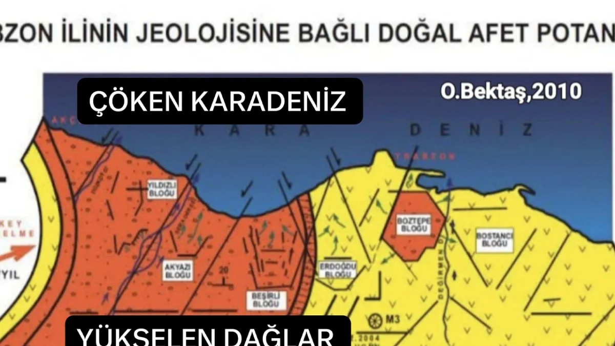 Trabzon'da heyelan riski! “Afeti anlamadan ıslah edemezsiniz”