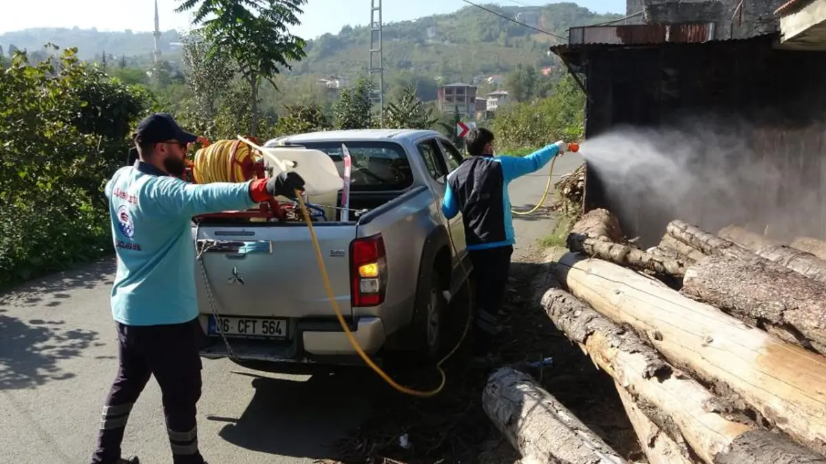 Trabzon’da kahverengi kokarca alarmı azaldı! 200 bin samuray arısı salındı