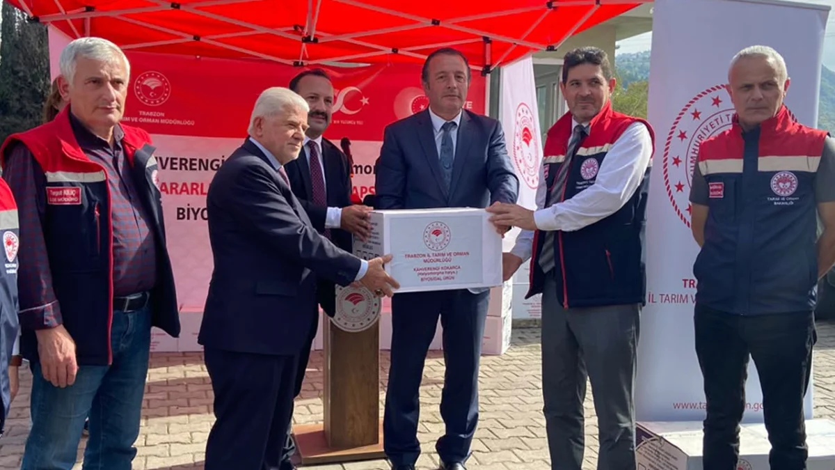 Trabzon’da kahverengi kokarcaya karşı seferberlik! 34 bin haneye biyosidal ürün dağıtılacak