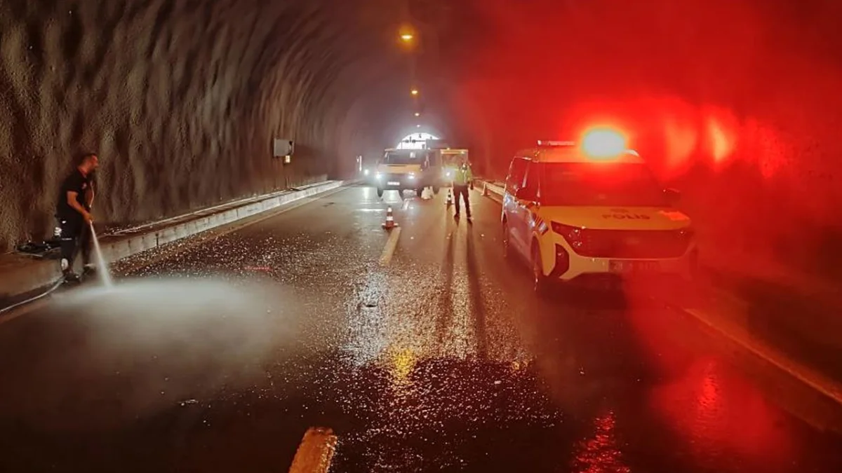 Trabzon plakalı araç Giresun’da kaza yaptı: 3 yaralı