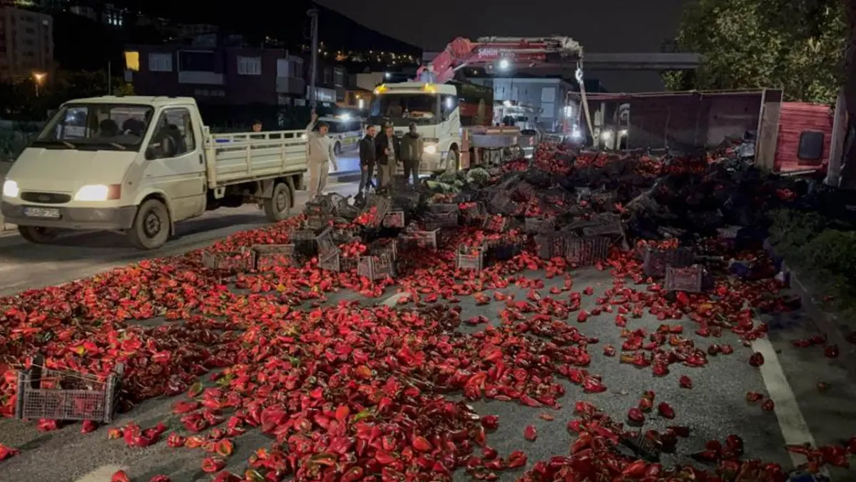 Samsun’da kamyon devrildi! 10 ton kapya biber yola saçıldı