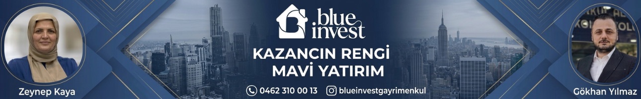 Blue Invest Gayrimenkul