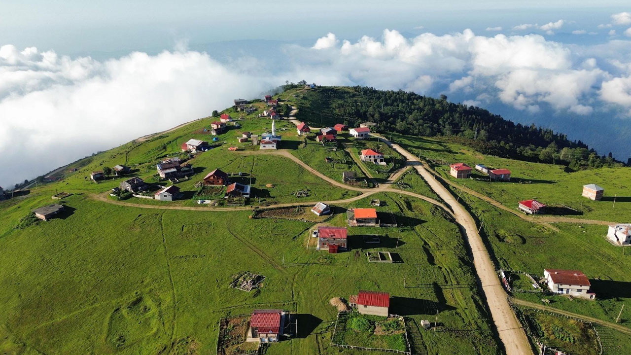 Trabzon Barma Yaylası'nda Doğa Kampı ve Çevre Düzenlemesi Yapım işi Yaptırılacak