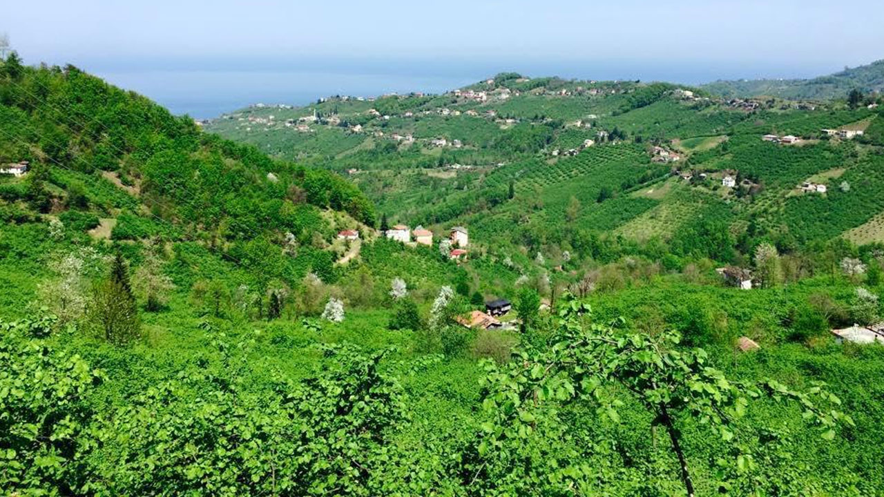 Vakfıkebir’de 1.893 Metrekarelik Taşınmaz İcradan Satışa Çıkıyor