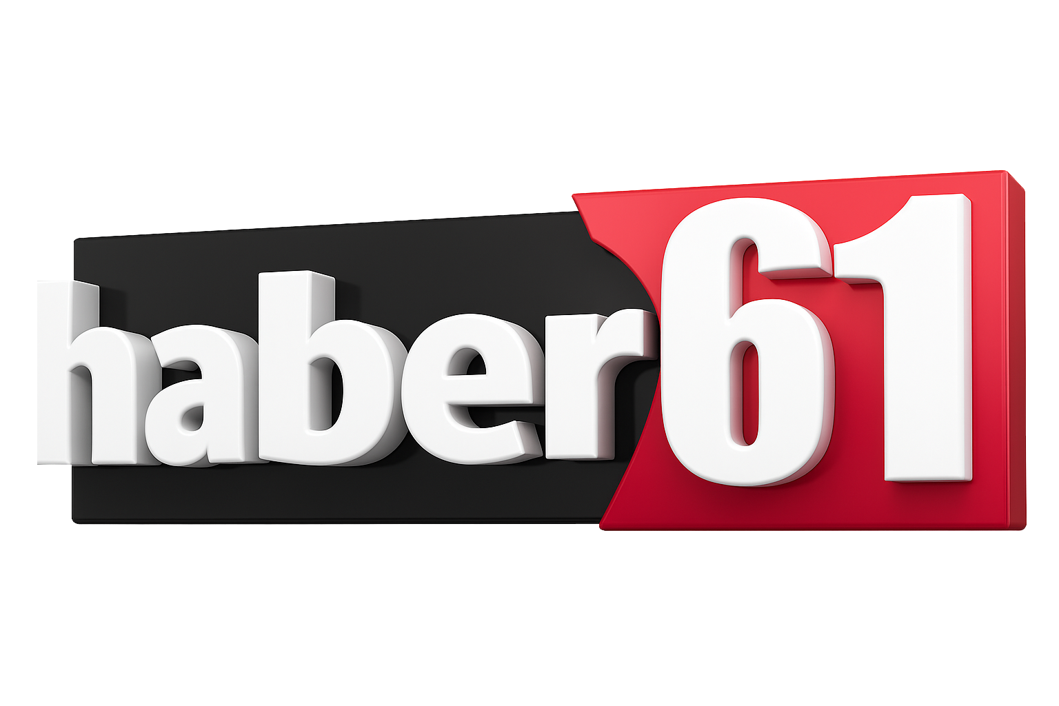 Özel Logo