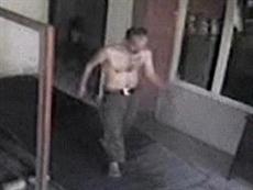 Kediyi tuvalette katletti