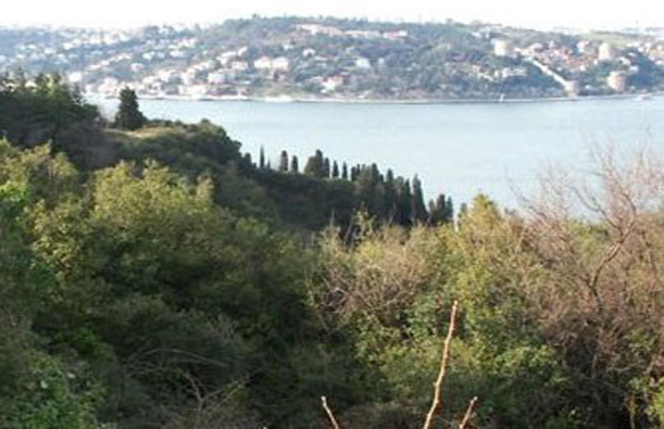 Suudi Kral'a neler yasaklandı?