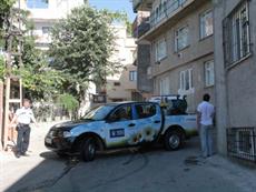 Arılar şehri bastı