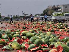 Seyyarlar karpuzları yola döktü