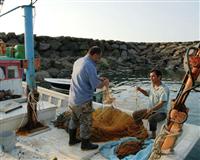 Son 6 ayda sadece 3 balık çeşidi