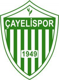 Temmuz'da Genel Kurul yapılacak