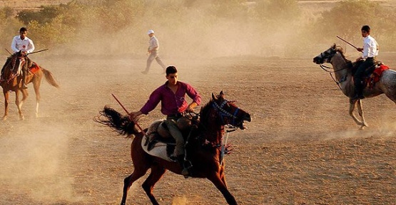 Cirit dünyaya açılıyor