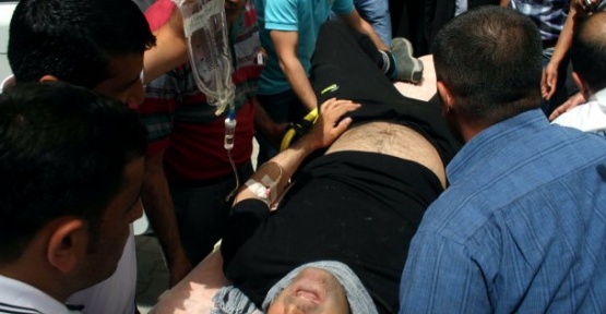 Müdürü yılan ısırdı