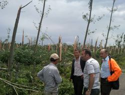 Hasar tespit çalışmaları başladı