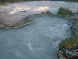 Rize'de kaplıca hayatına mal oldu