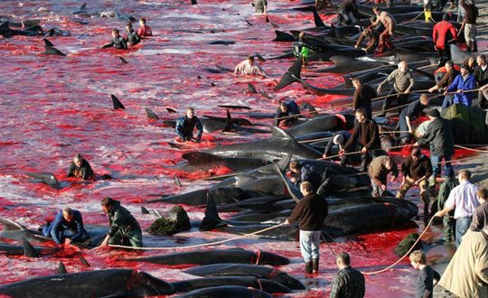 Bir ülke daha katliam peşinde