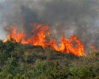 3 dönümlük alan yandı