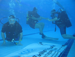 Engelliler yüzmede engel tanımadı