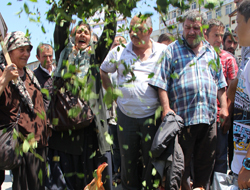 Rize'ye evet Trabzon'a kota