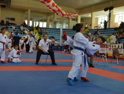 G.Hane'de Karate Şampiyonası