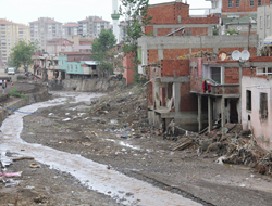 Selin olduğu bölgelerde virüs riski