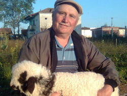 Samsun'da sel yine can aldı