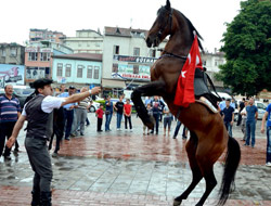 Festival atların yürüyüşüyle başladı