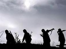 PKK'da bir çözülme daha