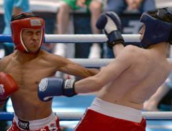 Türkiye Kick Boks Şampiyonası