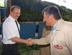 Çay alımları devam ediyor