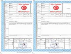 Tapuda yeni dönem başlıyor