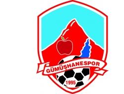 Gümüşhanespor'da transfer