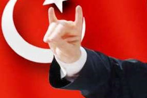 Bakan Ülkücüleri ayağa kaldırdı