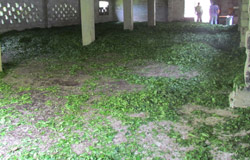 Rize'de hırsızlar bakın ne çaldı?