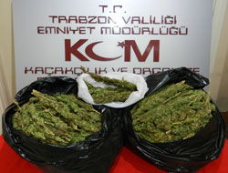 Trabzon'da kubar esrar yakalandı