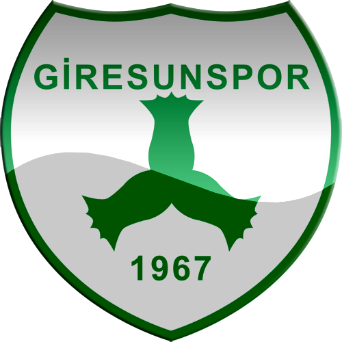 Giresunspor'da başkan adayı