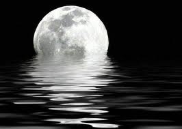 Türkiye'de aydan arsa  alan var!