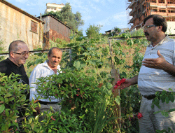 'Ürettiğimi trilyonlar verseler ...'