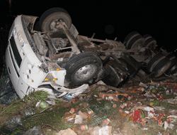 Köpeği ezmemek için kaza yaptı