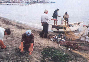 Havalar ısındı kefaller şoka girdi