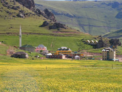 Gümüşhane'de gelenek sürüyor