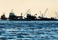 Marmara'da kıyım başladı